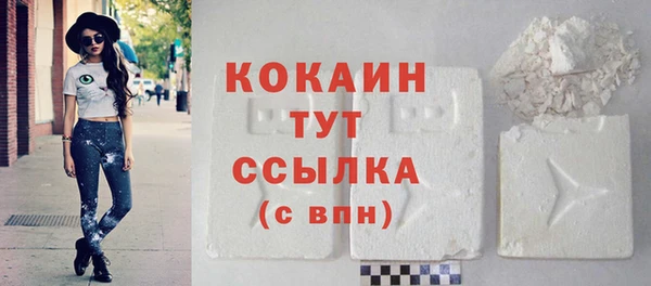 дмт Няндома